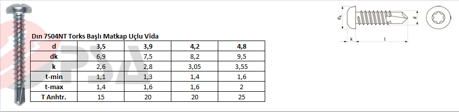Dın 7504NT Torks Başlı Matkap Uçlu Vida