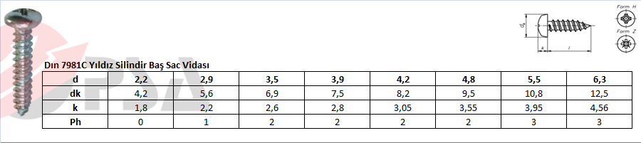 Dın 7981C Yıldız Silindir Baş Sac Vidası