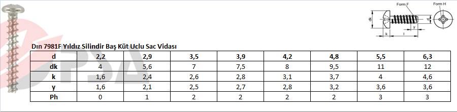 Dın 7981F Yıldız Silindir Baş Küt Uclu Sac Vidası