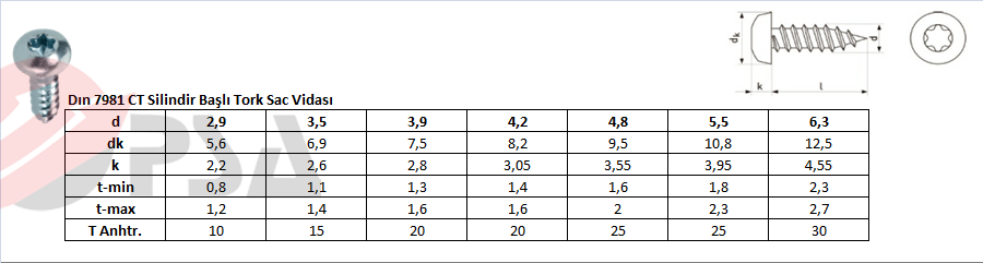 Dın 7981 CT Silindir Başlı Tork Sac Vidası